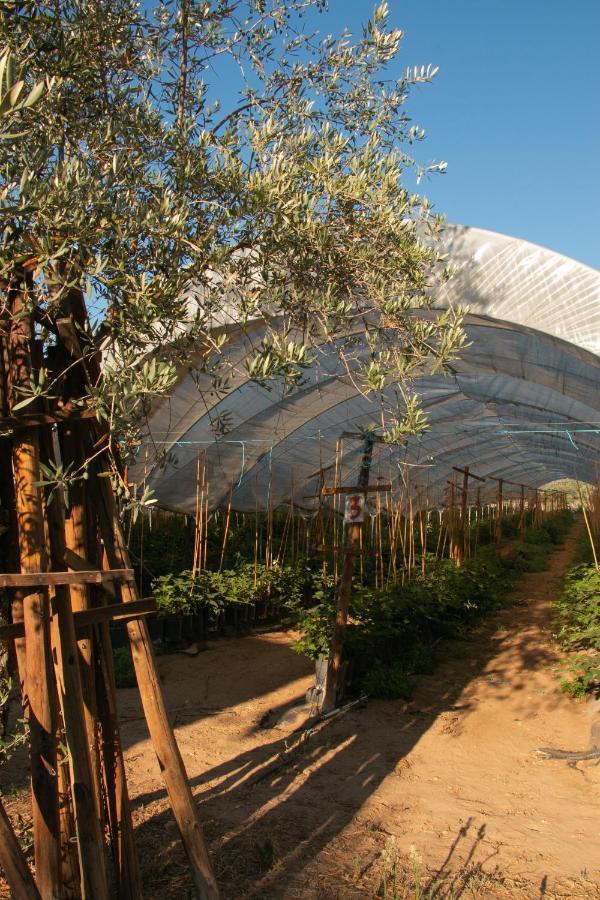 Quinta De Santana Da Varzea Абрантиш Экстерьер фото